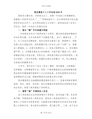 税务稽查个人工作总结2024年
