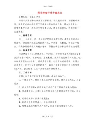 税收排查行动方案范文