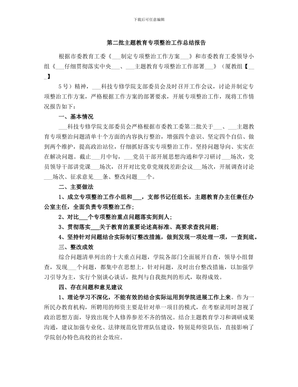 第二批主题教育专项整治工作总结报告_第1页