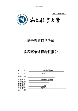 管理信息系统实践报告