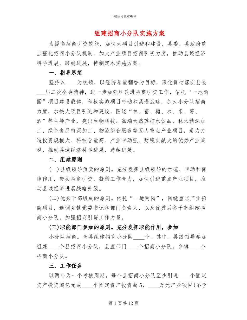 组建招商小分队实施方案_第1页
