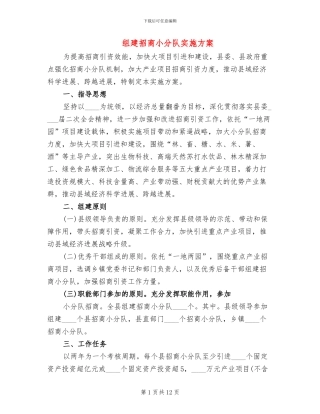 组建招商小分队实施方案