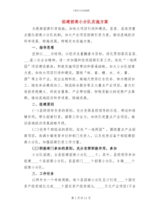 组建招商小分队实施方案(4篇)
