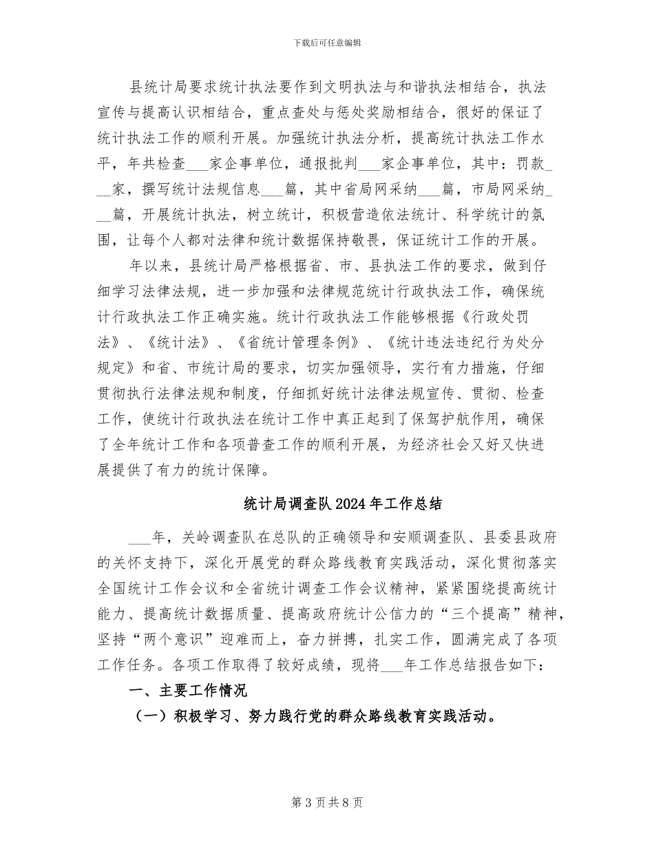 统计局执法工作2024年度总结_第3页
