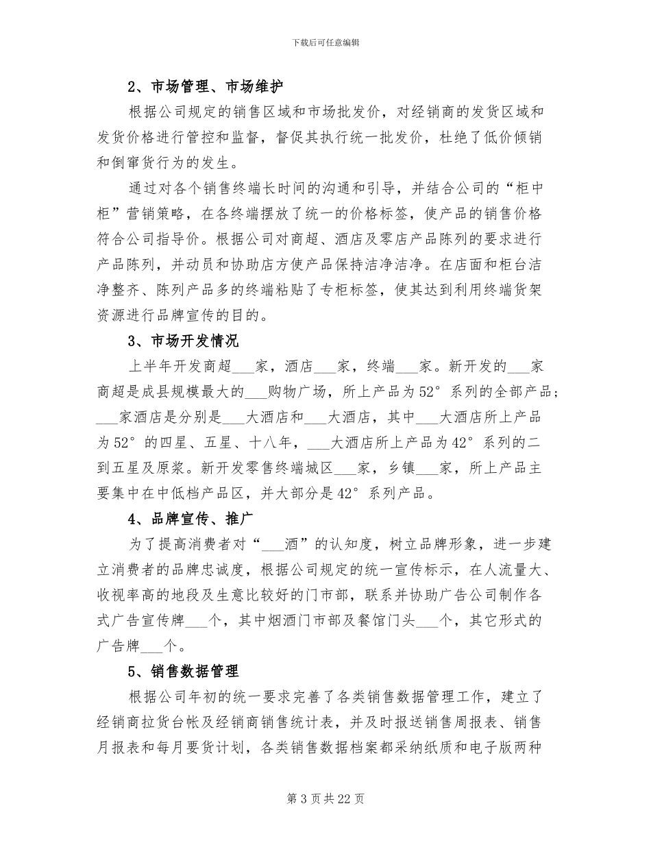 翻译2024年工作总结范文_第3页