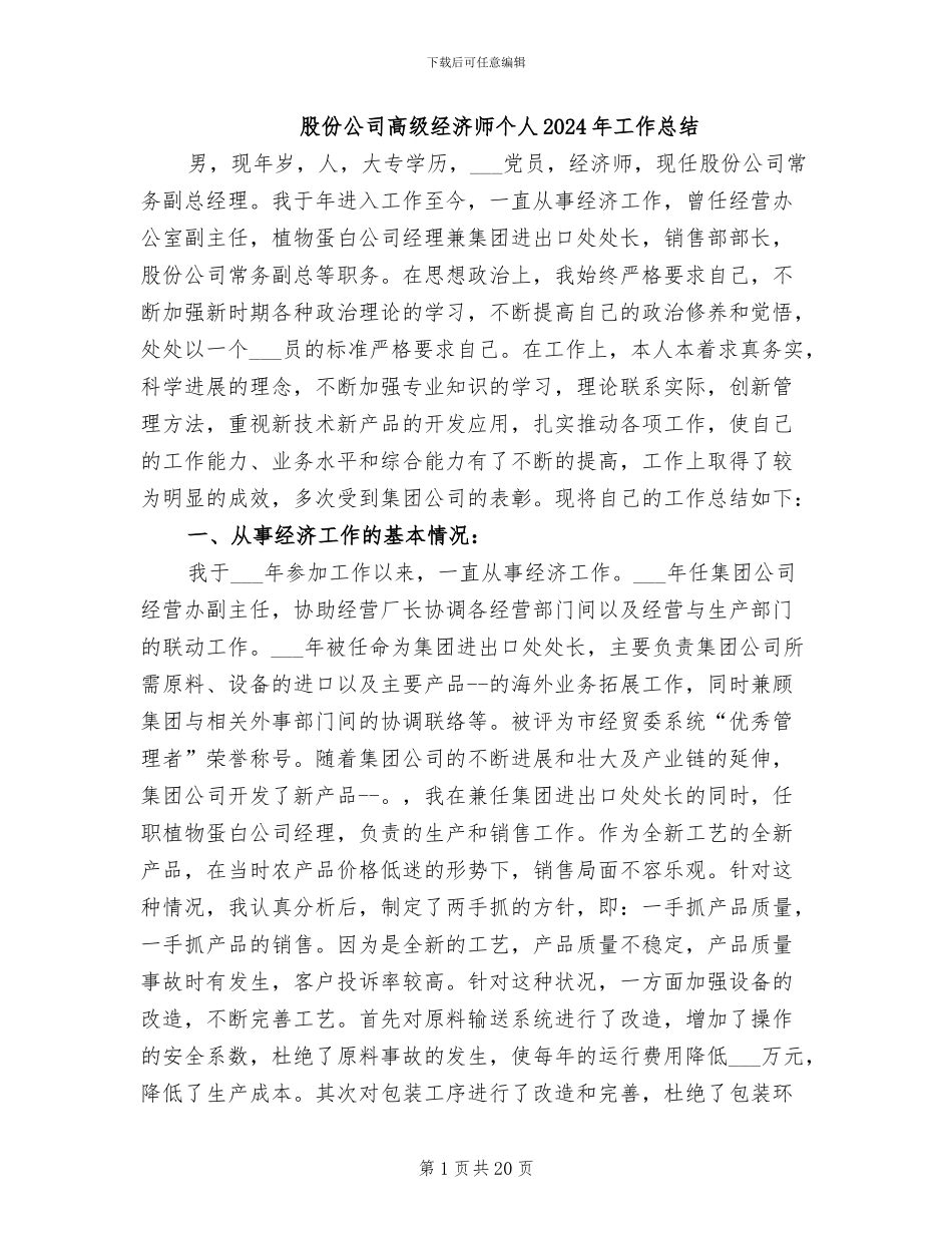 股份公司高级经济师个人2024年工作总结_第1页