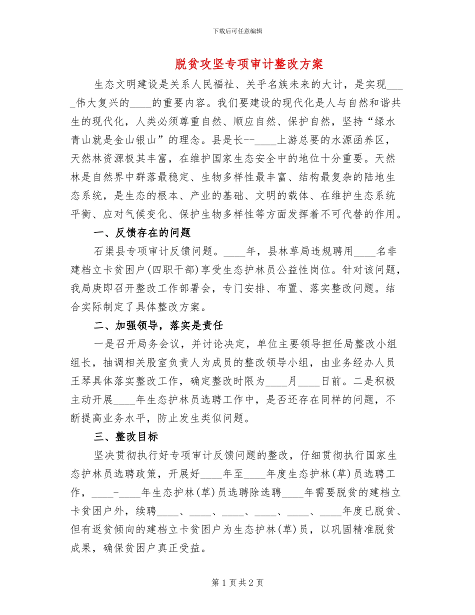 脱贫攻坚专项审计整改方案_第1页