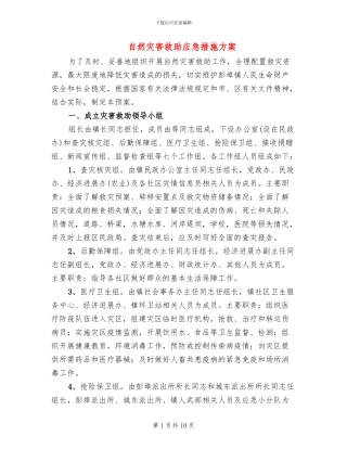 自然灾害救助应急措施方案
