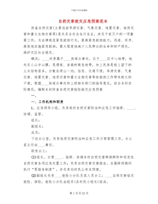 自然灾害救灾应急预案范本