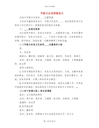 节假日应急预案范文