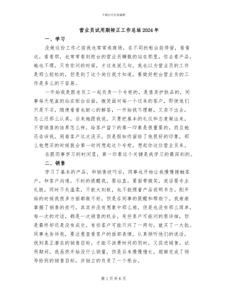 营业员试用期转正工作总结2024年