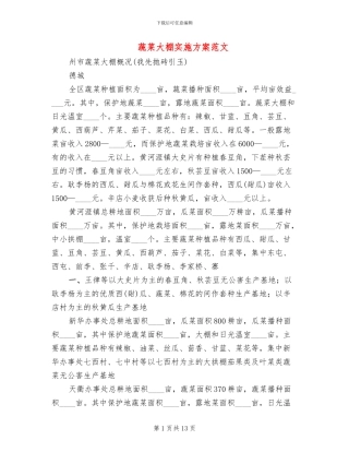 蔬菜大棚实施方案范文