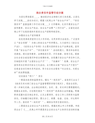 街办责任年监管行动方案