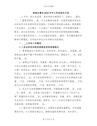 街道办事处2024半年工作总结及计划