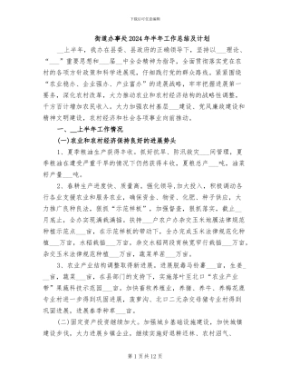 街道办事处2024年半年工作总结及计划