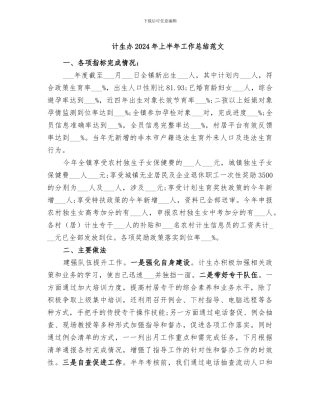 计生办2024年上半年工作总结范文