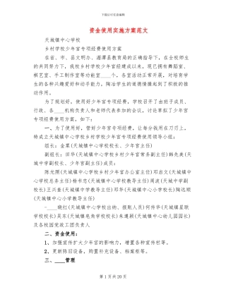 资金使用实施方案范文