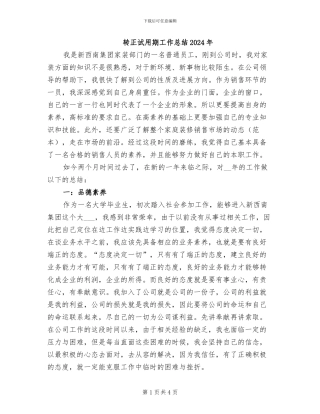 转正试用期工作总结2024年