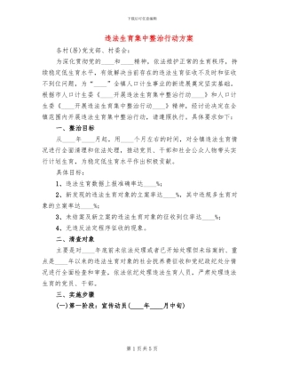 违法生育集中整治行动方案