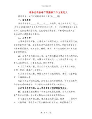 道路交通秩序严管整顿工作方案范文