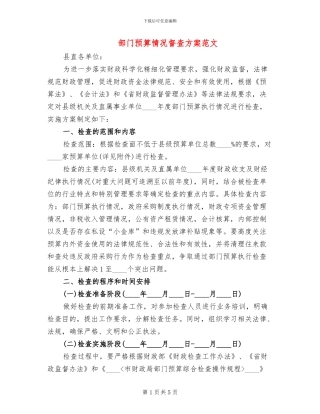 部门预算情况督查方案范文
