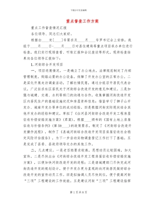 重点督查工作方案