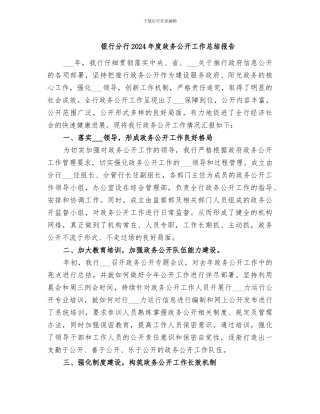 银行分行2024年度政务公开工作总结报告