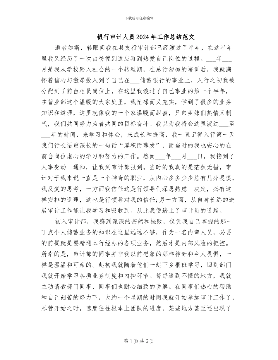 银行审计人员2024年工作总结范文_第1页