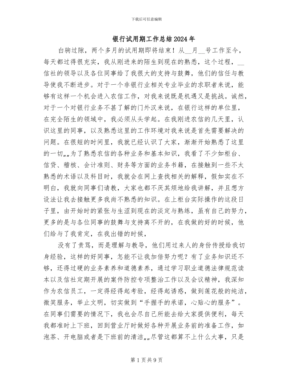 银行试用期工作总结2024年_第1页