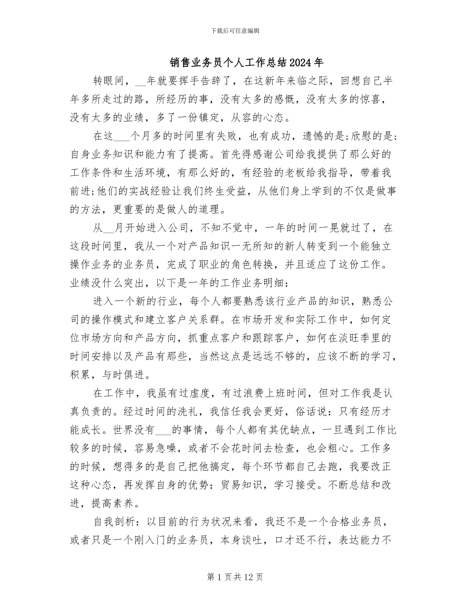 销售业务员个人工作总结2024年_第1页