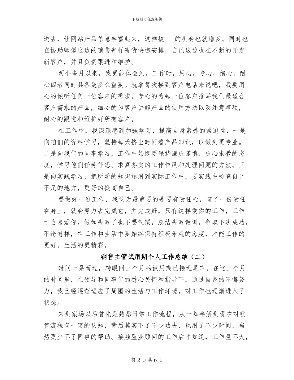 销售主管试用期个人工作总结2024年_第2页