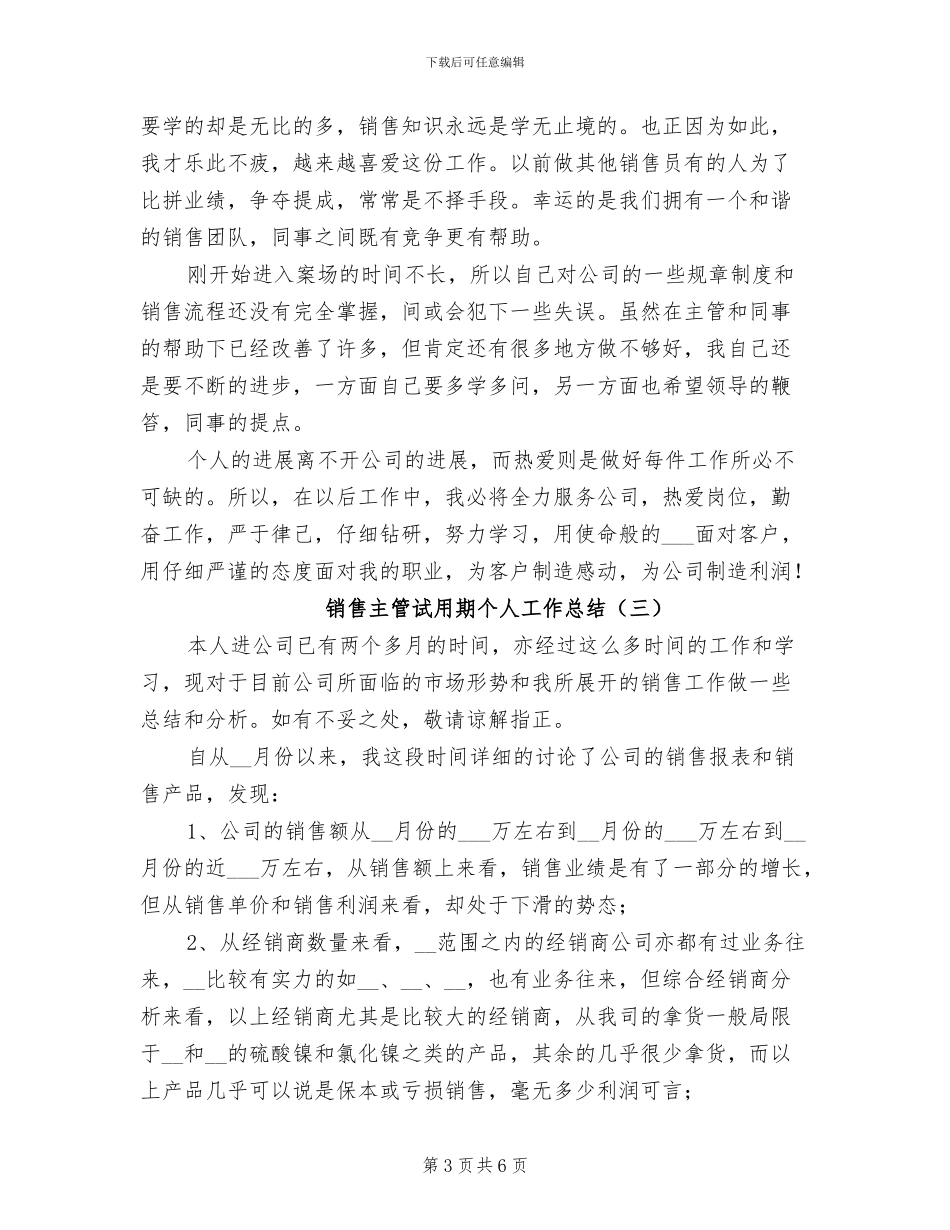 销售主管试用期个人工作总结2024年_第3页