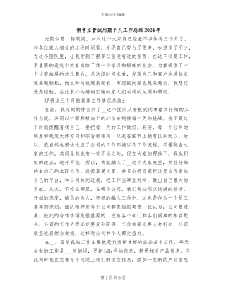 销售主管试用期个人工作总结2024年