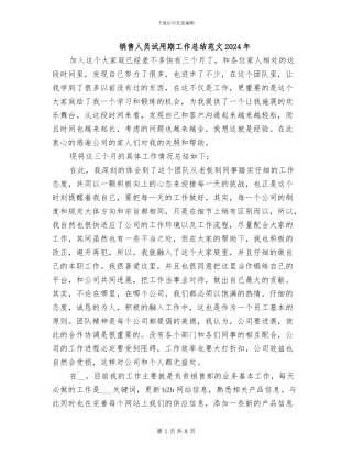 销售人员试用期工作总结范文2024年