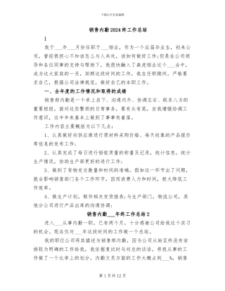 销售内勤2024终工作总结