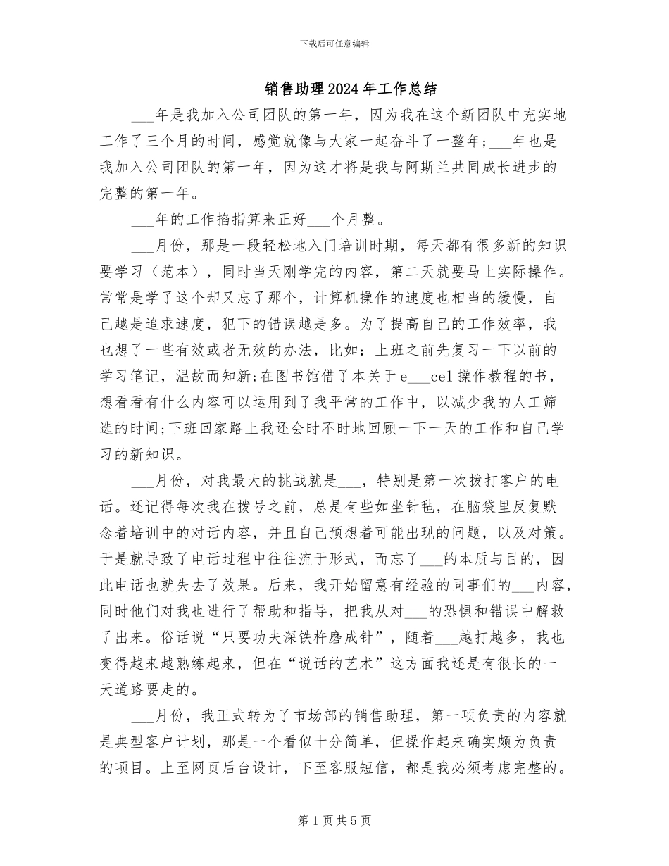 销售助理2024年工作总结_第1页