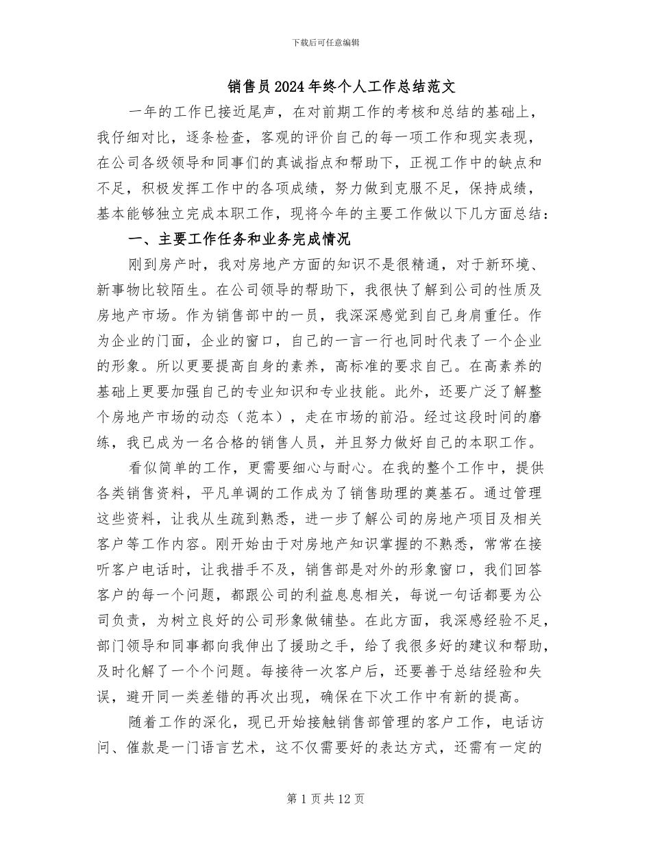 销售员2024年终个人工作总结范文_第1页