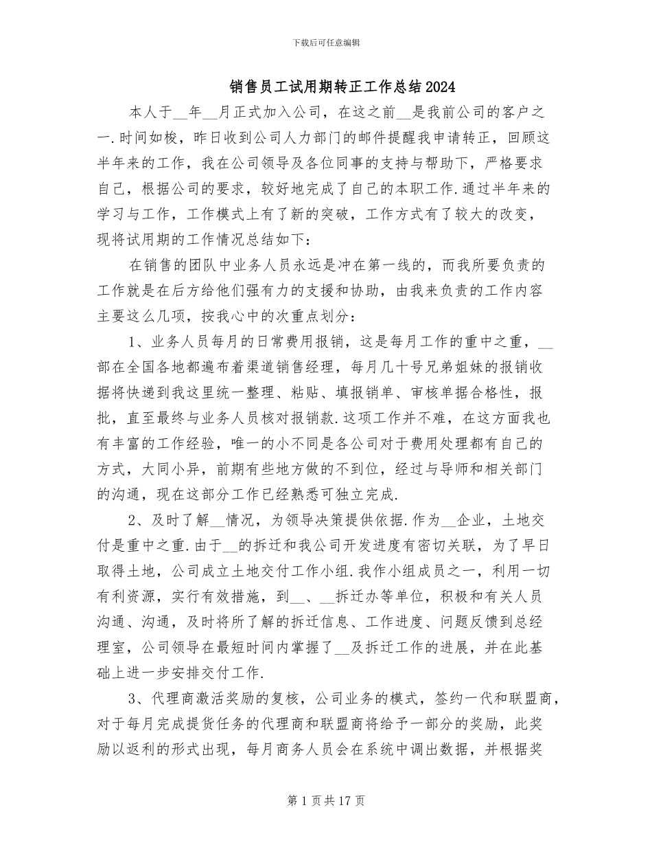 销售员工试用期转正工作总结2024_第1页