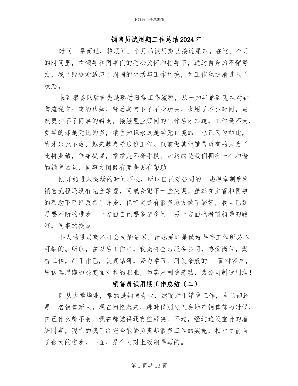销售员试用期工作总结2024年_第1页