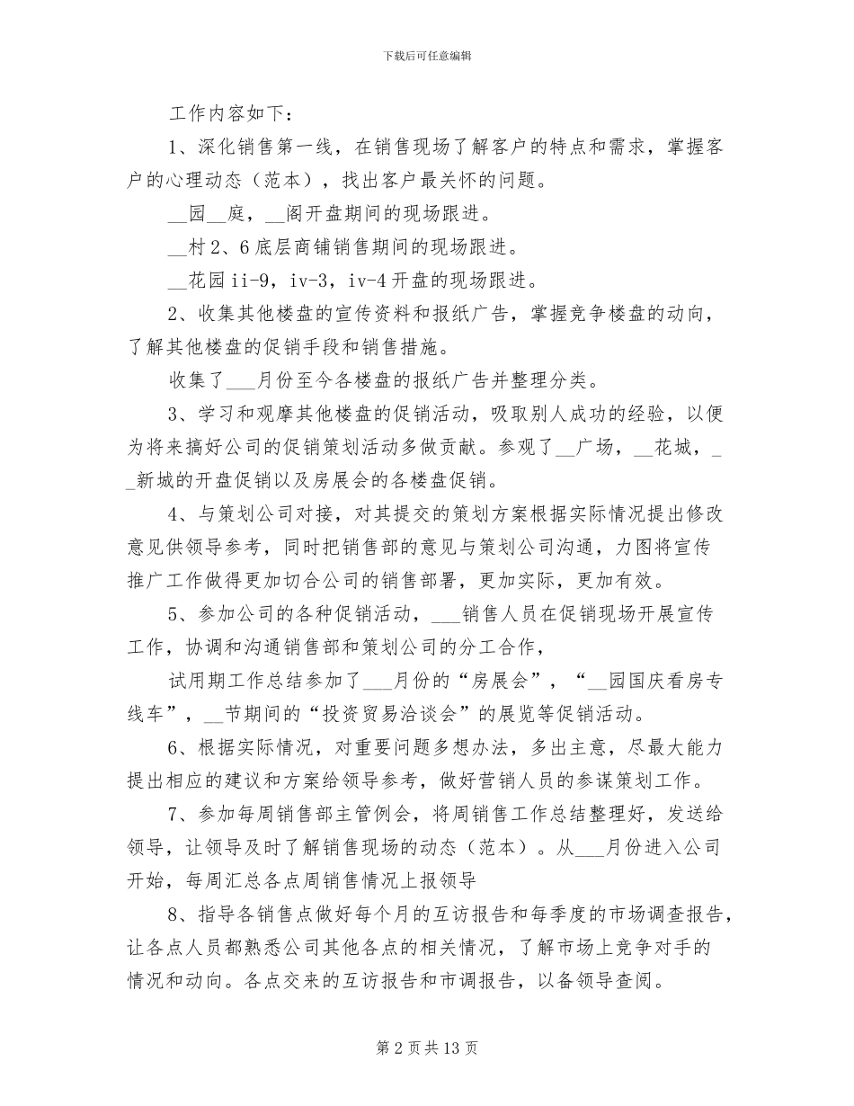 销售员试用期工作总结2024年_第2页