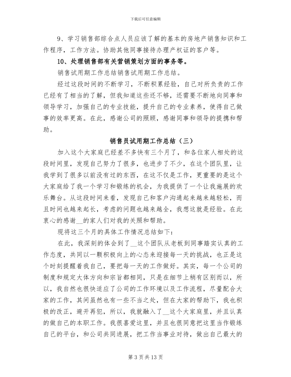 销售员试用期工作总结2024年_第3页