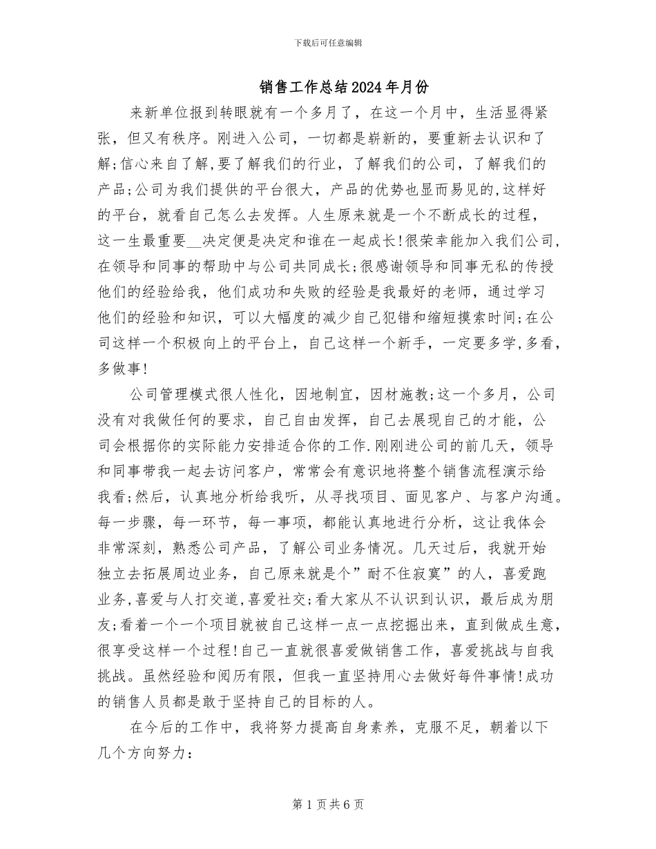 销售工作总结2024年月份_第1页