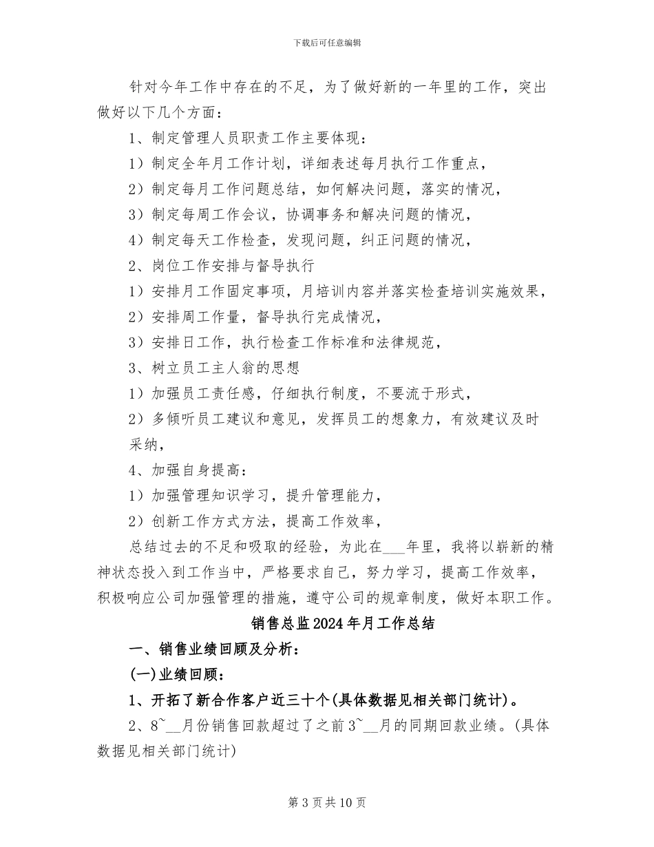 销售总监2024年个人工作总结_第3页