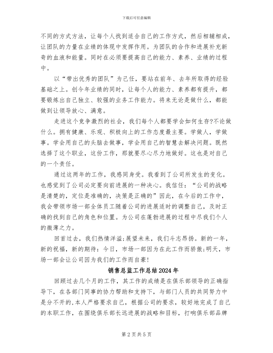销售总监2024年终个人工作总结_第2页