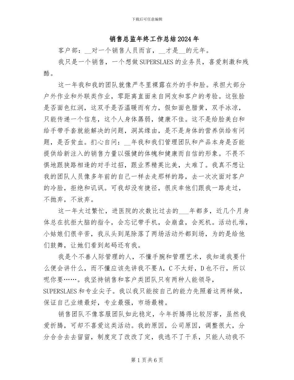 销售总监年终工作总结2024年_第1页