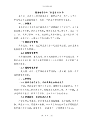 销售督导年终工作总结2024年