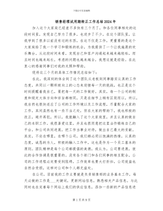 销售经理试用期转正工作总结2024年