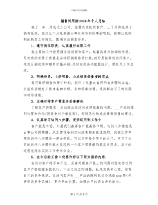 销售试用期2024年个人总结