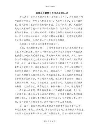 销售试用期转正工作总结2024年