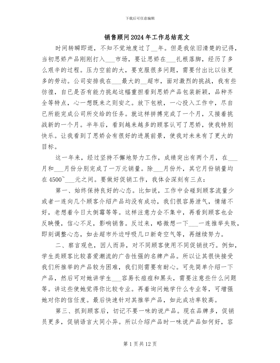 销售顾问2024年工作总结范文_第1页